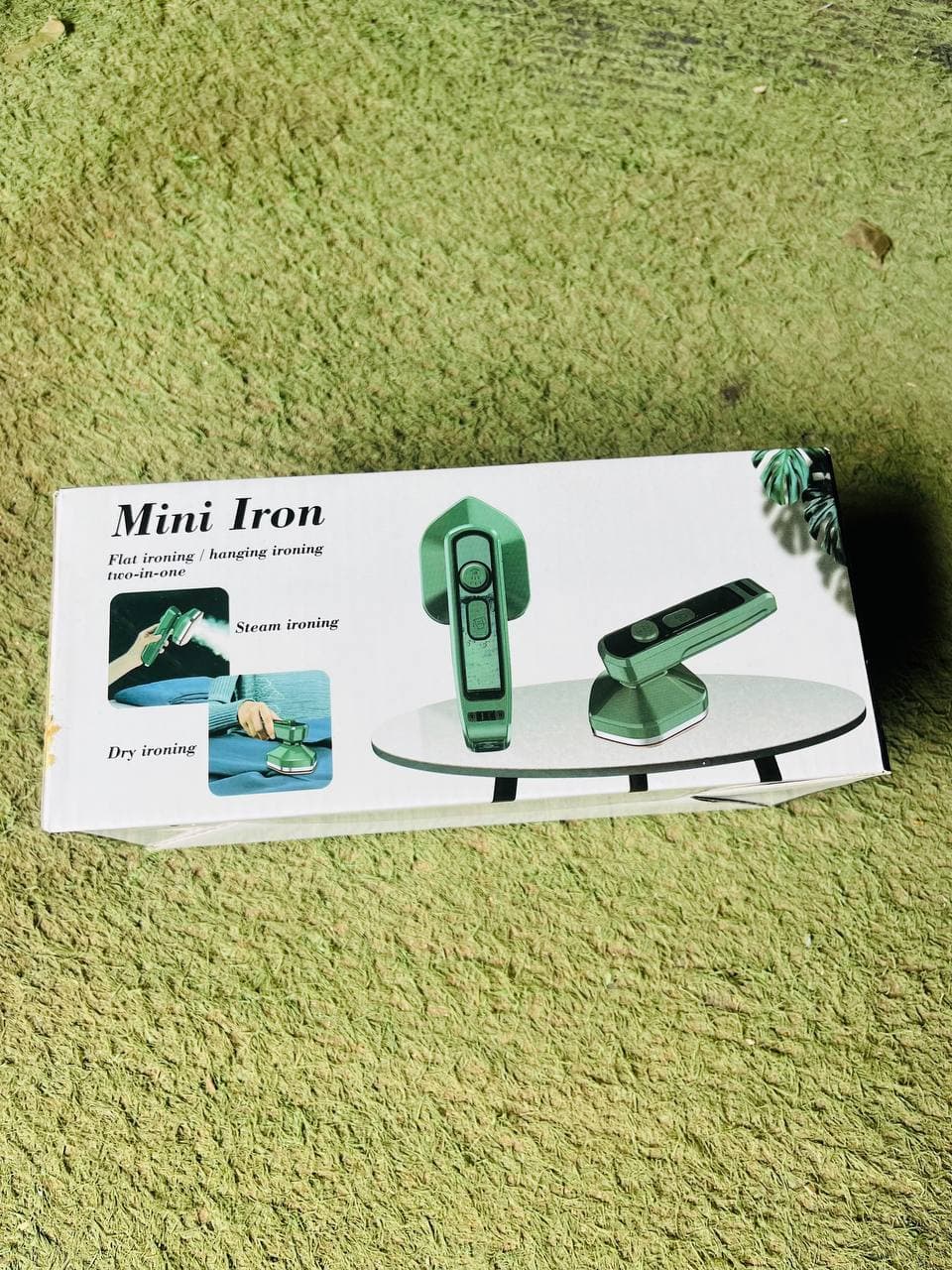 Mini steam iron